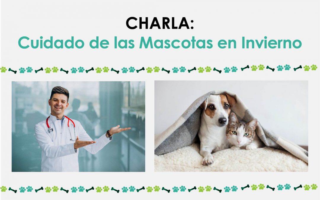 Charla: Cuidado de las Mascotas en Invierno