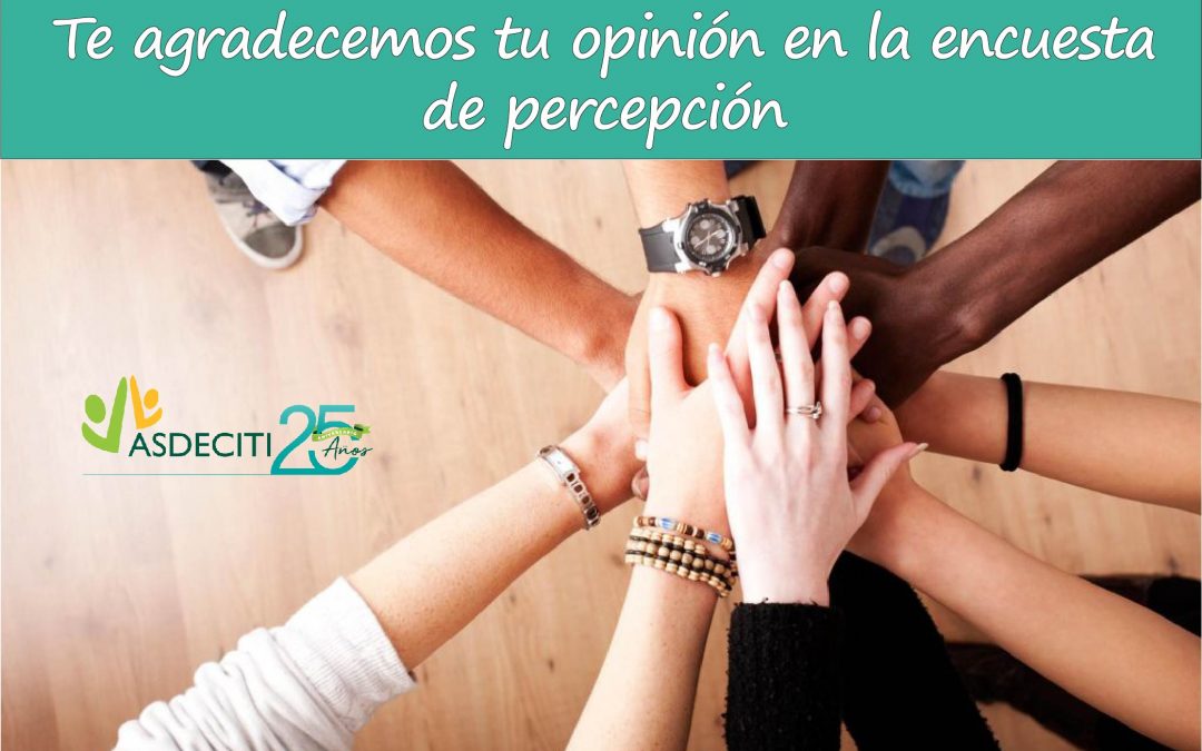 Muchas gracias por su participación en la encuesta