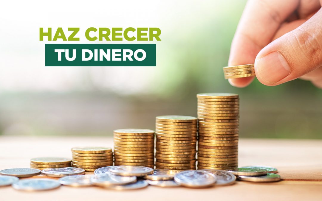 Haz crecer tu dinero